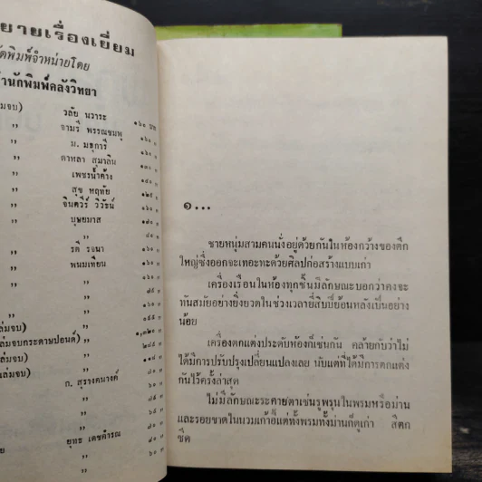 พิกุลเนื้อเก้า 2 เล่มจบ - นลิน บุษกร รูปที่ 6
