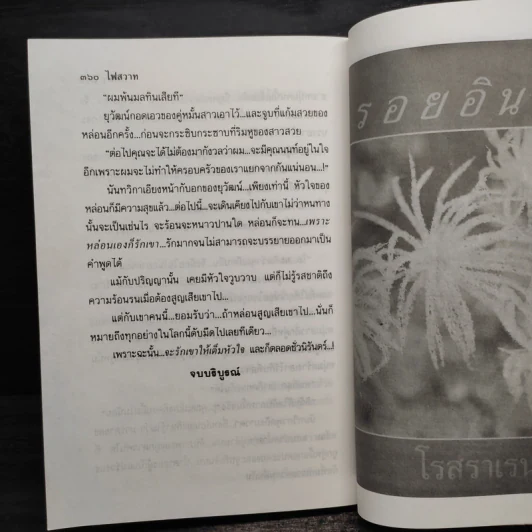 ไฟสวาท - ชลดา รูปที่ 7