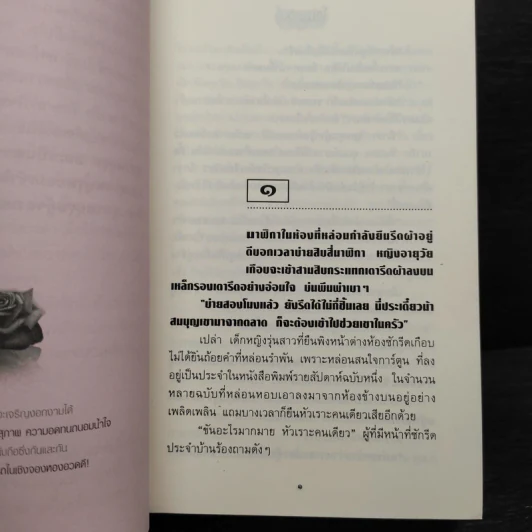 โดมผู้จองหอง - ก.สุรางคนางค์ รูปที่ 7