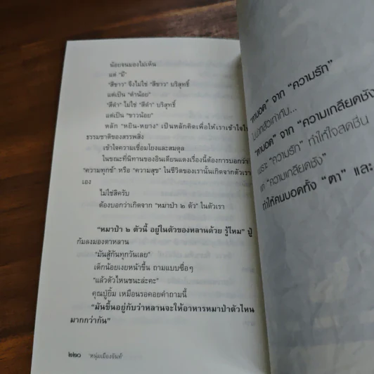 กรอบที่ไม่มีเส้น - หนุ่มเมืองจันท์ รูปที่ 10