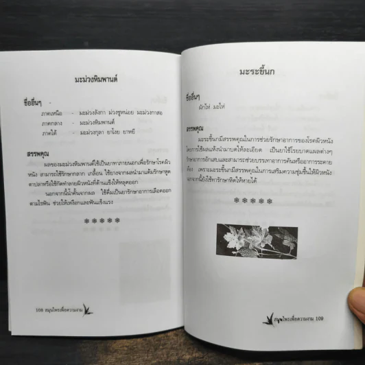 สมุนไพรเพื่อความงาม - เปรม แสงแก้ว รูปที่ 8