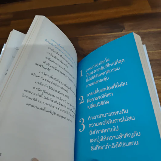 1 ปีที่พวกเราจะไม่ซื้อของฟุ่มเฟือย - Scott Dannemiller รูปที่ 10