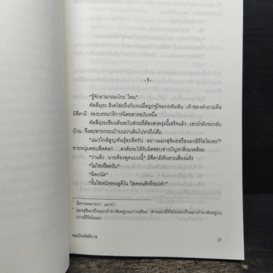 ยามาเนะโกะ จอมโจรรัตติกาล - คามินากะ มานาบุ รูปที่ 6