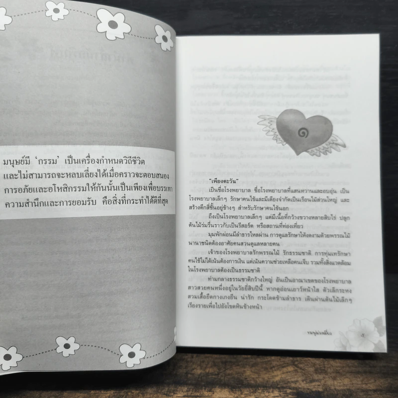 ชมพู่ม่าเหมี่ยว - โสภี พรรณราย รูปที่ 7