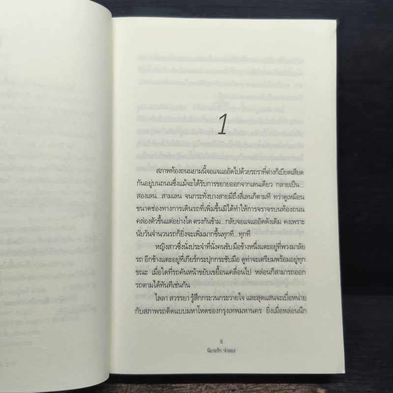 นิยายรัก จำลอง - คีตาญชลี รูปที่ 7