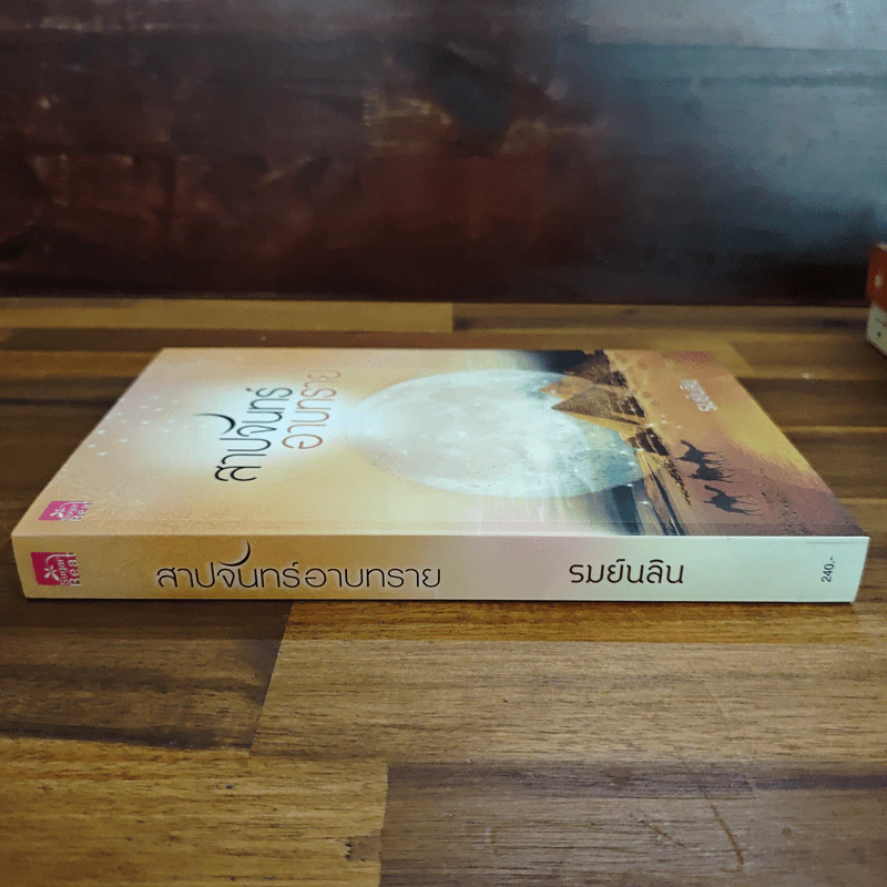 สาปจันทร์อาบทราย - รมย์นลิน รูปที่ 3