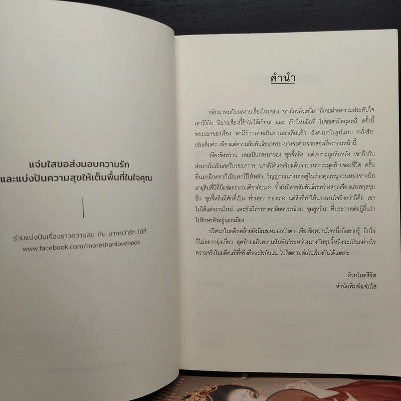สามีข้ากลายเป็นท่านอาเสียแล้ว 3 เล่มจบ - ฉางโกวลั่วเยวี่ย รูปที่ 5