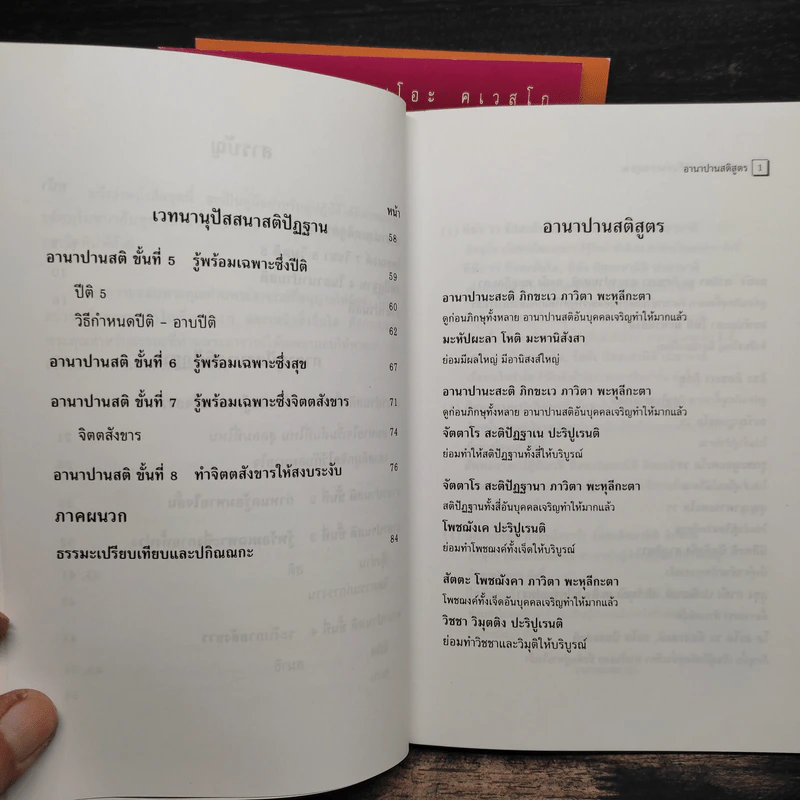 อานาปานสติ : วิถีแห่งความสุข 1-3 - พระอาจารย์มิตซูโอะ คเวสโก รูปที่ 9