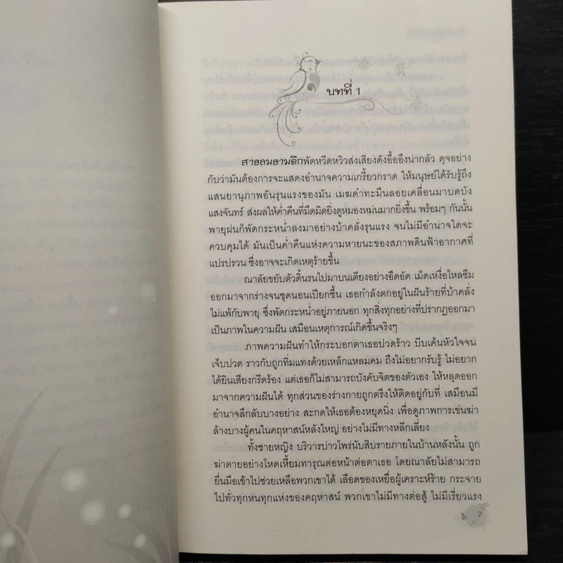 สิเน่หาต่างภพ รูปที่ 7