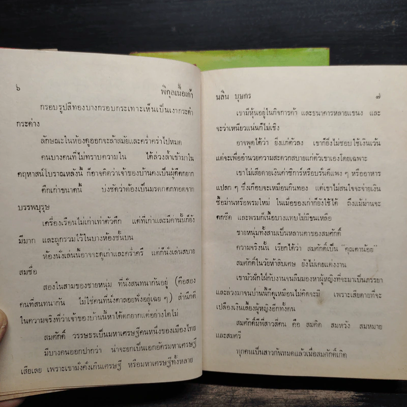 พิกุลเนื้อเก้า 2 เล่มจบ - นลิน บุษกร รูปที่ 7