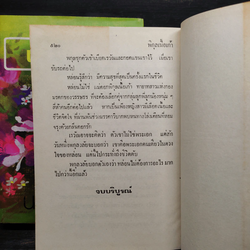 พิกุลเนื้อเก้า 2 เล่มจบ - นลิน บุษกร รูปที่ 8