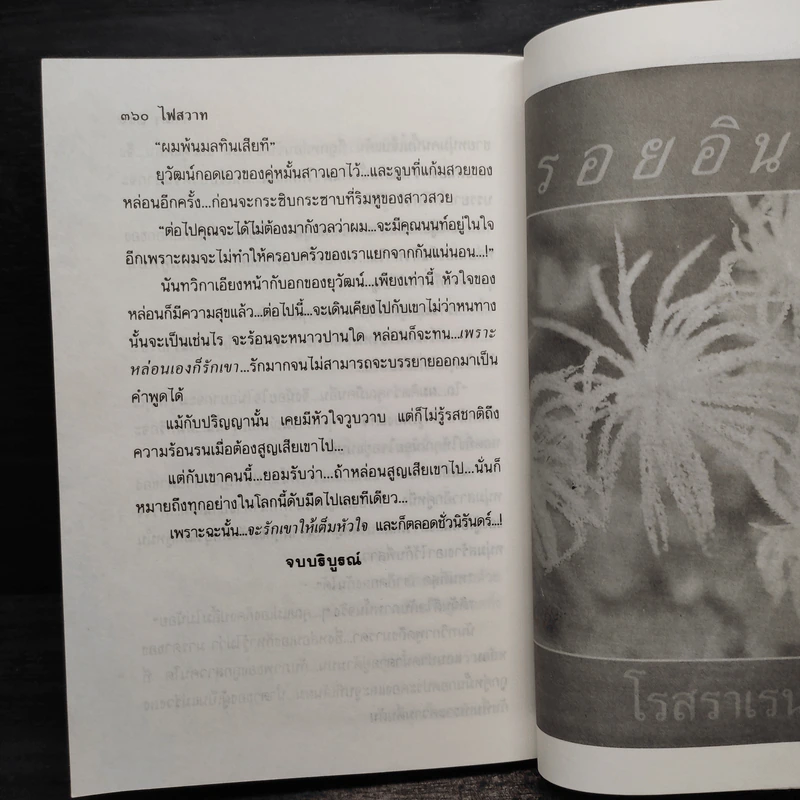 ไฟสวาท - ชลดา รูปที่ 7