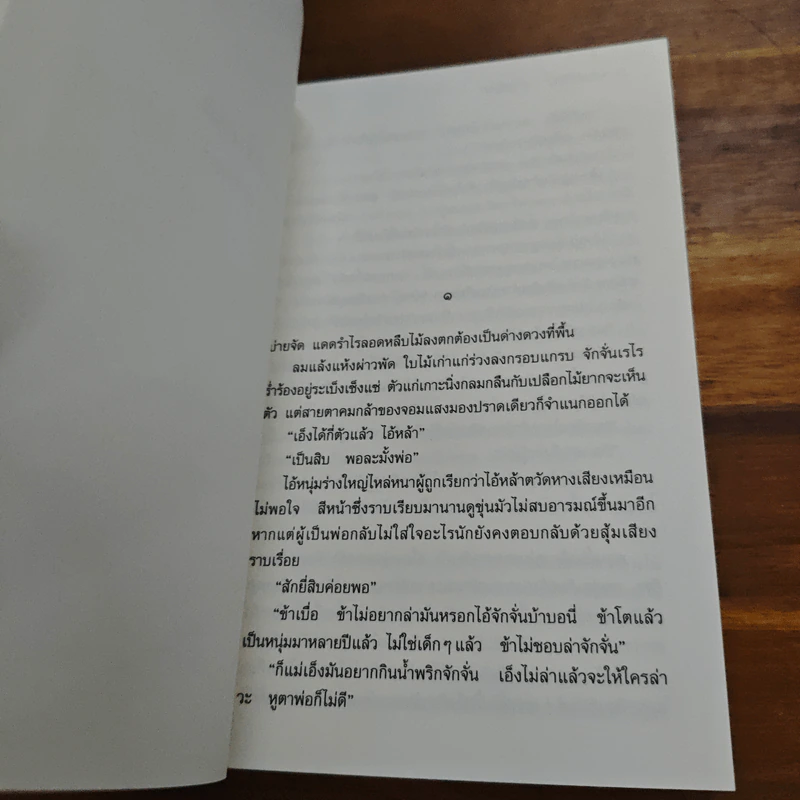 เมืองลับแล - มาลา คำจันทร์ รูปที่ 7