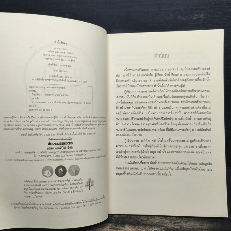 ม้าน้ำสีทอง - เอกอรุณ อวนสกุล รูปที่ 6