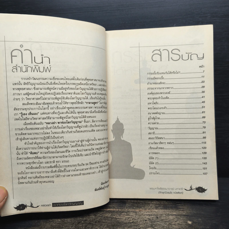หลวงย่าพาท่องโลกวิญญาณ - พระมหาโพธิธรรมาจารย์ มหาเถรี รูปที่ 7