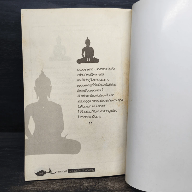 หลวงย่าพาท่องโลกวิญญาณ - พระมหาโพธิธรรมาจารย์ มหาเถรี รูปที่ 8