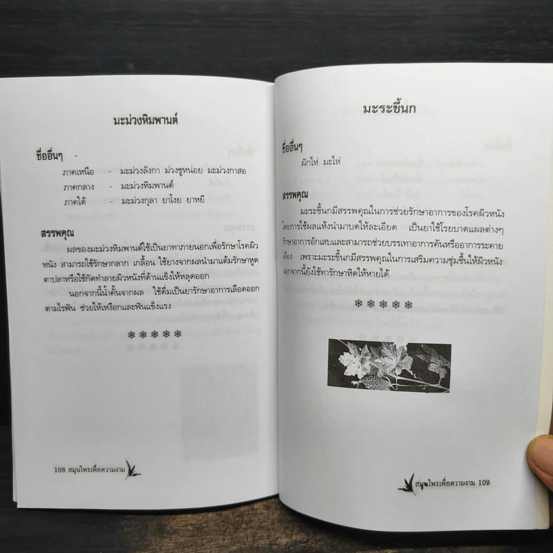 สมุนไพรเพื่อความงาม - เปรม แสงแก้ว รูปที่ 8