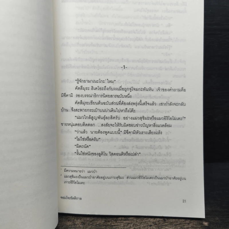 ยามาเนะโกะ จอมโจรรัตติกาล - คามินากะ มานาบุ รูปที่ 6