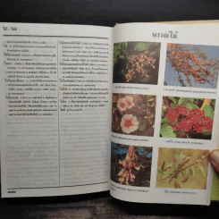 พจนานุกรม ฉบับราชบัณฑิตยสถาน พ.ศ.2525 รูปที่ 10