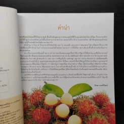 ผลไม้ คุณค่าอาหารและการกิน 111 ชนิด รูปที่ 7
