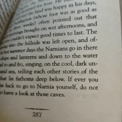 The Silver Chair (The Chronicles of Narnia) - C.S. Lewis รูปที่ 9
