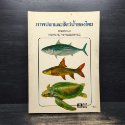 ภาพปลาและสัตว์น้ำของไทย - กรมประมง กระทรวงเกษตรและสหกรณ์ รูปที่ 1