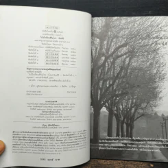 ใบไม้เปลี่ยนสีที่ยุโรป - พิมพ์สี รูปที่ 6