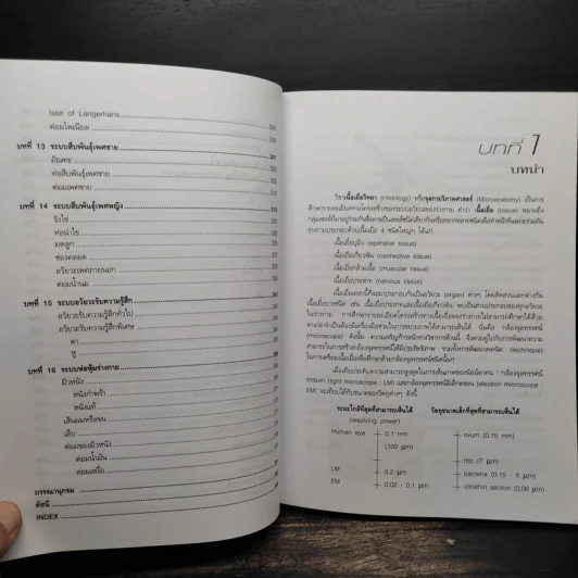 เนื้อเยื่อวิทยา - กนกธร ปิยธำรงรัตน์ รูปที่ 9
