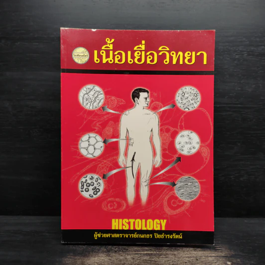 เนื้อเยื่อวิทยา - กนกธร ปิยธำรงรัตน์ รูปที่ 1