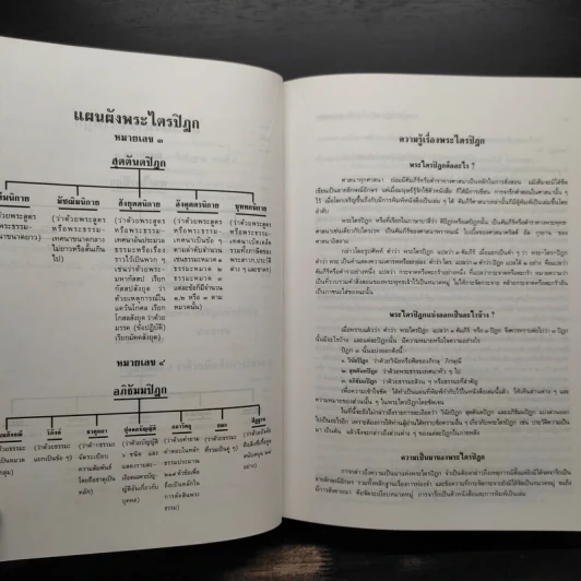 พระไตรปิฎก ฉบับสำหรับประชาชน - สุชีพ ปุญญานุภาพ รูปที่ 28