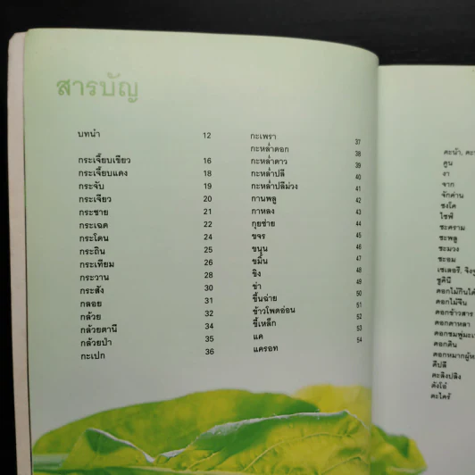 ผัก 333 ชนิด คุณค่าอาหารและการกิน รูปที่ 7