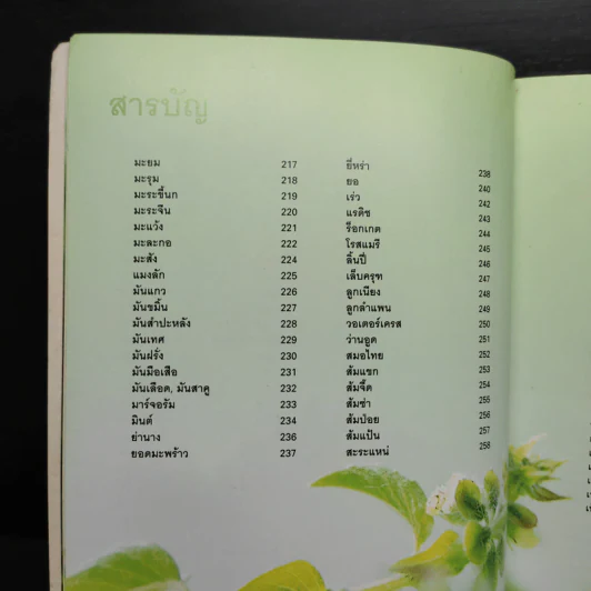 ผัก 333 ชนิด คุณค่าอาหารและการกิน รูปที่ 11