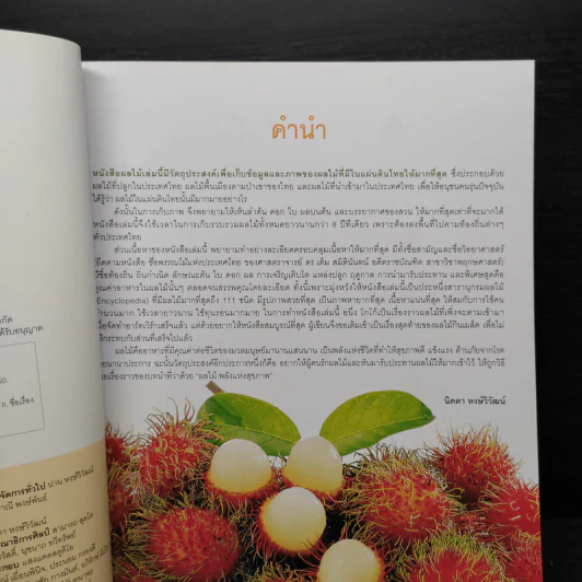 ผลไม้ คุณค่าอาหารและการกิน 111 ชนิด รูปที่ 7