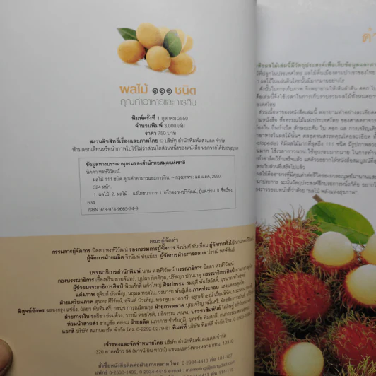ผลไม้ คุณค่าอาหารและการกิน 111 ชนิด รูปที่ 6