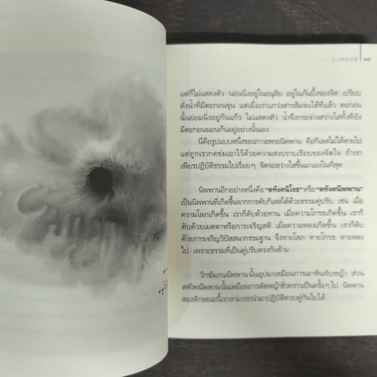 นิพพานระหว่างวัน - ว.วชิรเมธี รูปที่ 8