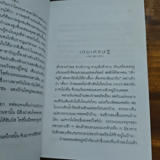 ช่างสำราญ - เดือนวาด พิมวนา รูปที่ 8
