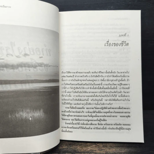ทำอย่างไรชีวิตจะยืนยาวและมีความสุข - เฉก ธนะสิริ รูปที่ 10
