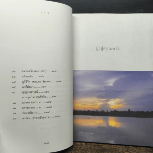กูแน่ - สาทิส อินทรกำแหง รูปที่ 8