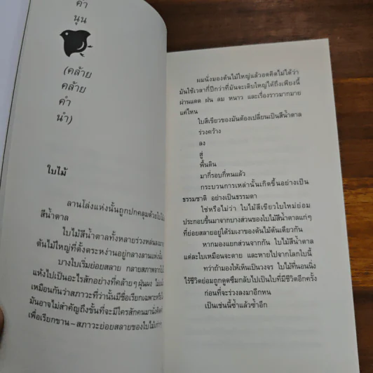 สิ่งที่ค้นพบระหว่างนั่งเฉยเฉย - นิ้วกลม รูปที่ 8