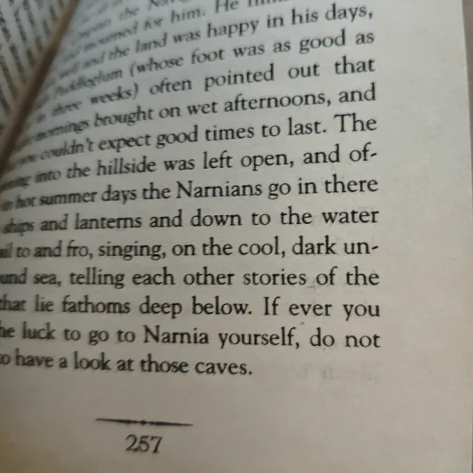 The Silver Chair (The Chronicles of Narnia) - C.S. Lewis รูปที่ 9