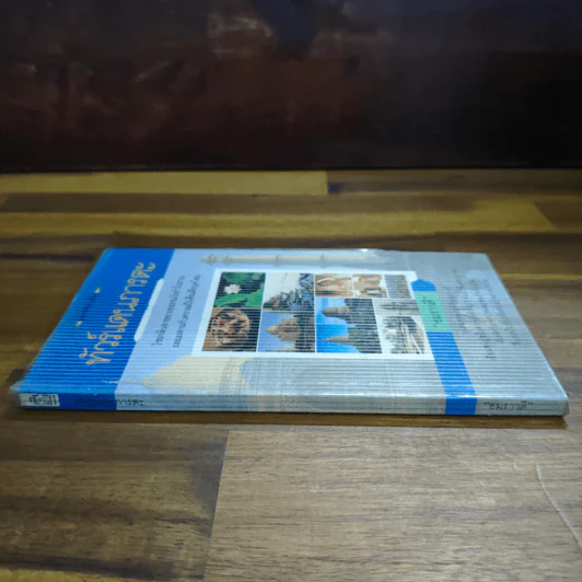 ทัวร์แดนภารตะ - อมราวดี รูปที่ 3