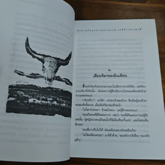 บัวบานในอะมาซอน - เสนีย์ เสาวพงศ์ รูปที่ 8