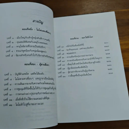 โมโม่ - มิฆาเอ็ล เอ็นเด้ รูปที่ 8