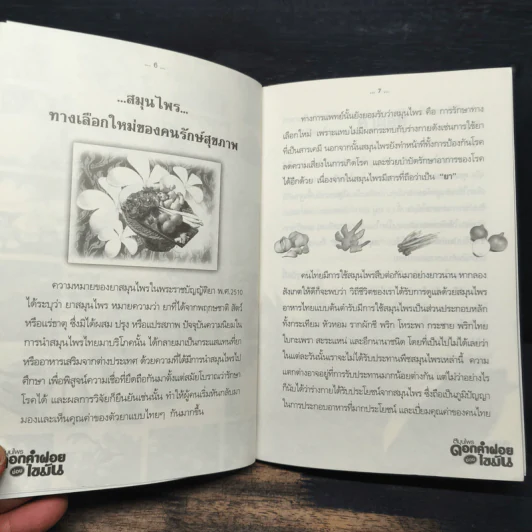 สมุนไพรดอกคำฝอย ย่อยไขมัน รูปที่ 7