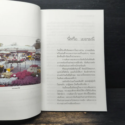 ใบไม้เปลี่ยนสีที่ยุโรป - พิมพ์สี รูปที่ 8
