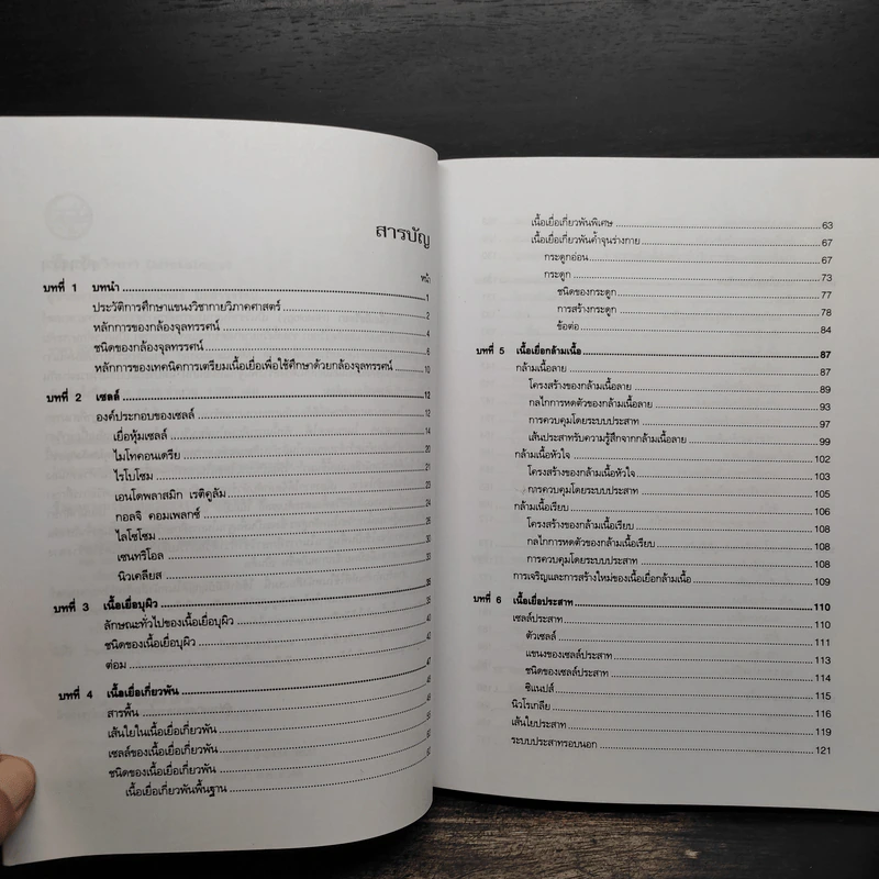 เนื้อเยื่อวิทยา - กนกธร ปิยธำรงรัตน์ รูปที่ 7