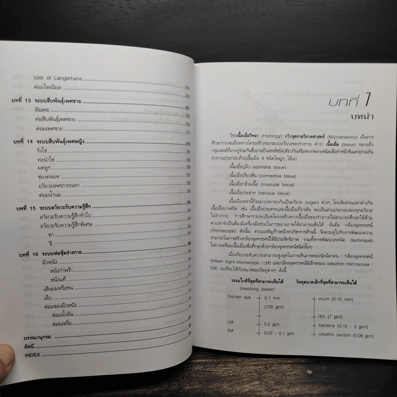 เนื้อเยื่อวิทยา - กนกธร ปิยธำรงรัตน์ รูปที่ 9