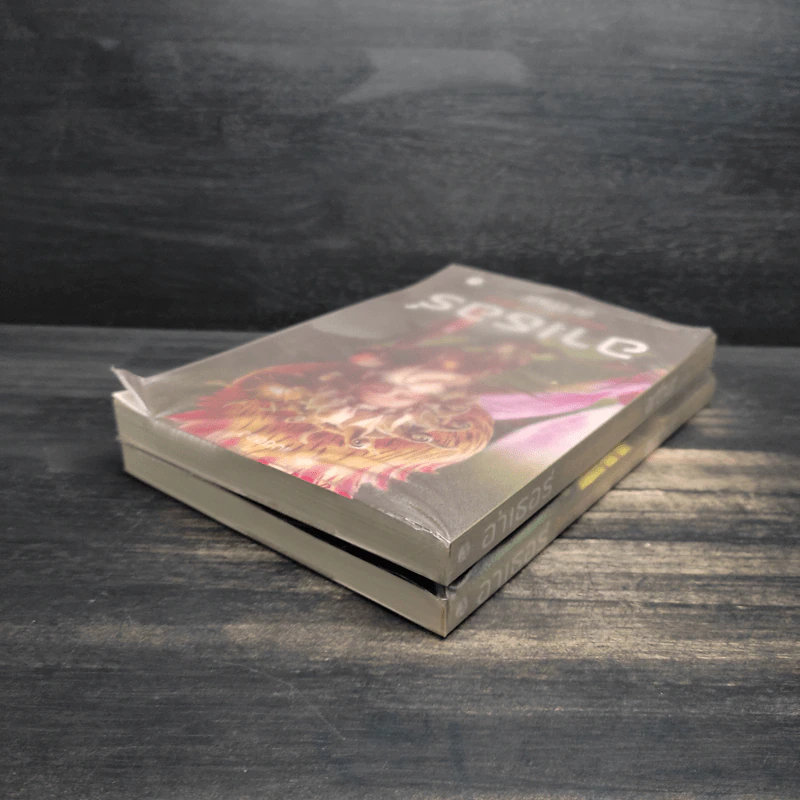 อาเธอร์ Arthur Boxset เล่ม 1-2 - ลุก แบซซอง รูปที่ 9