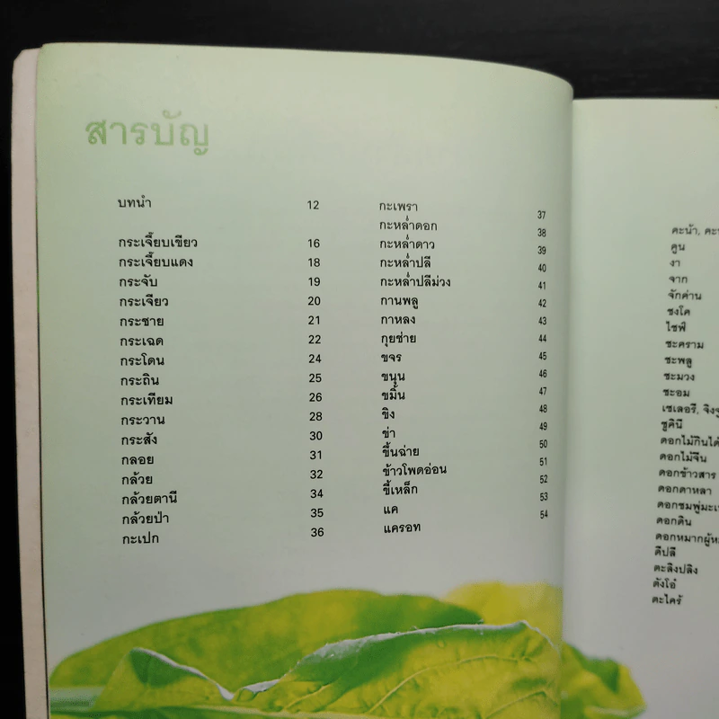 ผัก 333 ชนิด คุณค่าอาหารและการกิน รูปที่ 7
