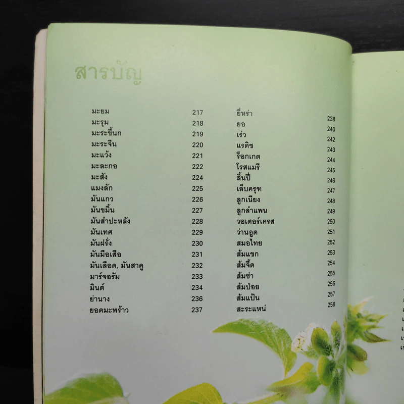 ผัก 333 ชนิด คุณค่าอาหารและการกิน รูปที่ 11